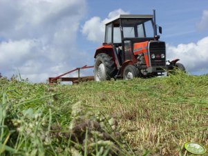 Massey-Ferguson 255 + Famarol Słupsk 