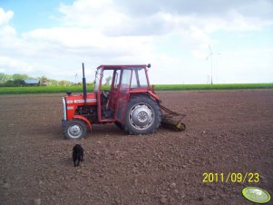 Massey Ferguson 255 i wał