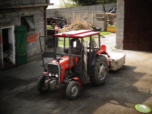 Massey Ferguson 255 + Moskit