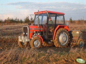 Massey Ferguson 255 + Poznaniak