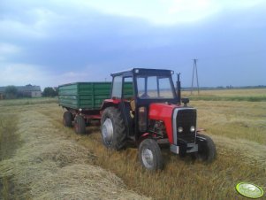 Massey Ferguson 255 + przyczepa 