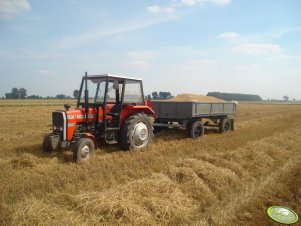 Massey Ferguson 255 + przyczepa