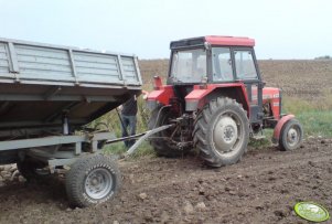 Massey Ferguson 255 + przyczepa