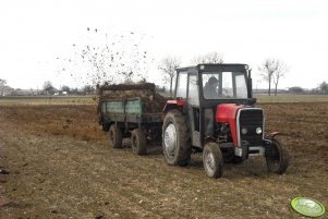 Massey Ferguson 255 + rozrzutnik 