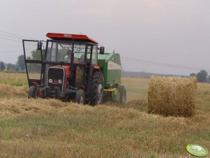 Massey Ferguson 255 + Sipma Classic 