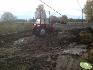 Massey Ferguson 255 + tur 2b