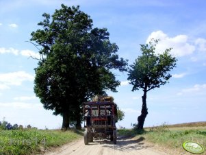 Massey Ferguson 255 + TUR 3B T-356/1