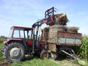 Massey Ferguson 255 + TUR 3B T-356/1