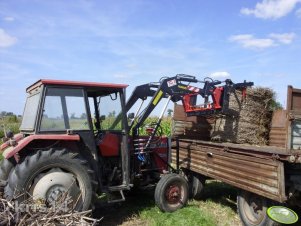Massey Ferguson 255 + TUR 3B T-356/1