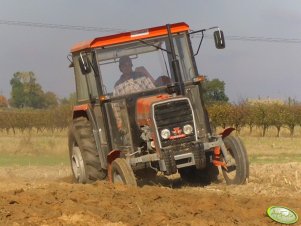 Massey Ferguson 255 + UG 2