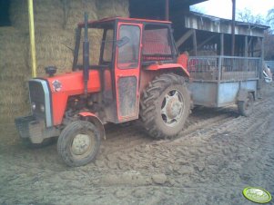 Massey Ferguson 255 & VMIX 10