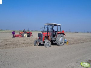 Massey-Ferguson 255