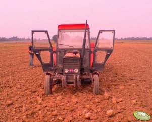 Massey Ferguson 255