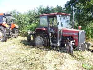 Massey Ferguson 255