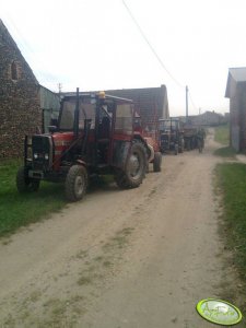 Massey Ferguson 255