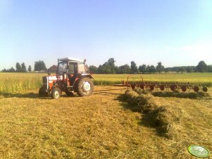 Massey Ferguson 255