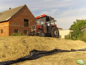 Massey Ferguson 255