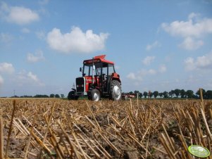 Massey Ferguson 255