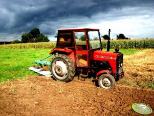 Massey Ferguson 255