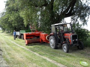 Massey Ferguson 255