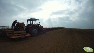 Massey Ferguson 255 