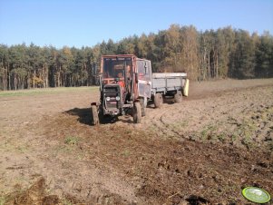 Massey Ferguson 255