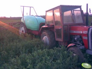 Massey Ferguson 255