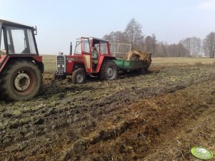 Massey Ferguson 265 + rozrzutnik