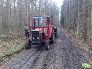 Massey Ferguson 265