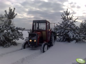 Massey Ferguson 265