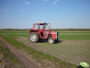 Massey Ferguson 265