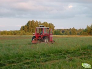 Massey Ferguson 265