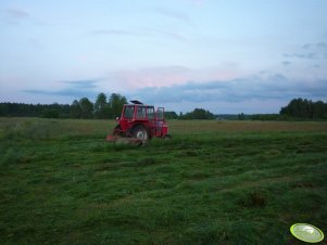 Massey Ferguson 265