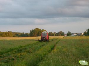 Massey Ferguson 265