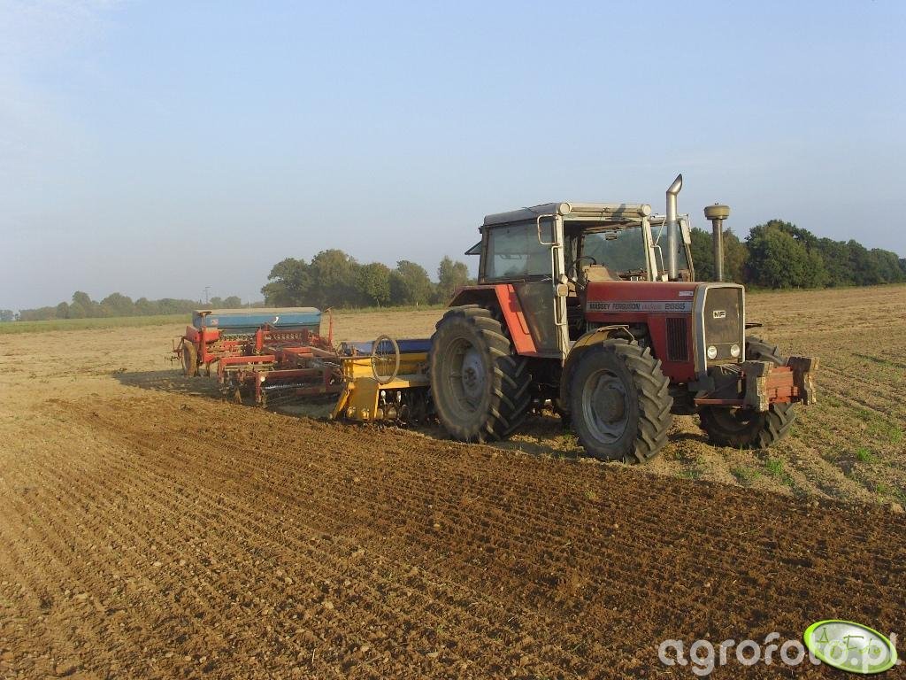 Fotografia traktor Massey Ferguson 2685 id115142 Galeria rolnicza
