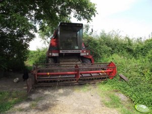 Massey Ferguson 29