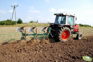 Massey Ferguson 3050 + pług REGENT