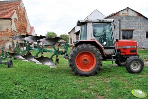 Massey Ferguson 3050 + pług REGENT