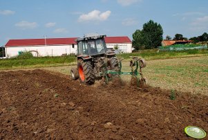 Massey Ferguson 3050 + pług REGENT