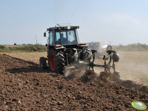 Massey Ferguson 3050 + pług REGENT