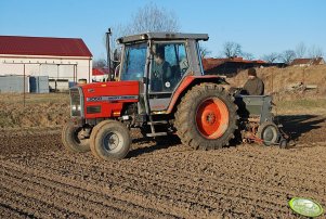 Massey Ferguson 3050 + Poznaniak