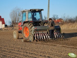 Massey Ferguson 3050 + Poznaniak