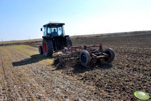 Massey Ferguson 3050 + Unia mars 3A