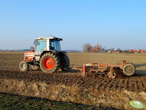 Massey Ferguson 3050 + Unia mars 3A