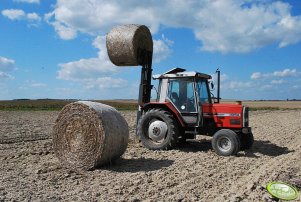 Massey Ferguson 3050 + widlak