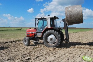 Massey Ferguson 3050 + widlak