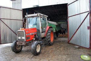 Massey Ferguson 3050 z przyczepami