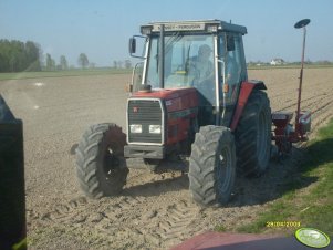 Massey Ferguson 3060 i siewnik do kukurydzy