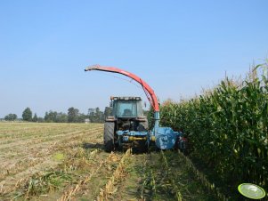 Massey Ferguson 3080 & Mengele Sh-20 