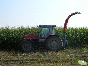 Massey Ferguson 3080 & Mengele Sh-20 